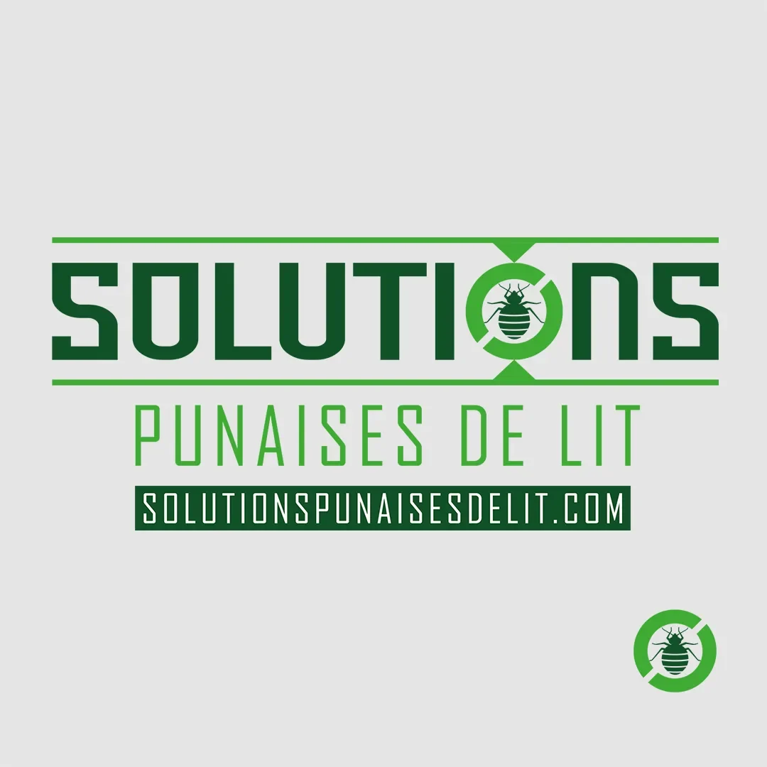 solutions punaise de lit logo — création de logo